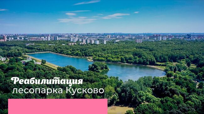 Реабилитация лесопарка Кусково