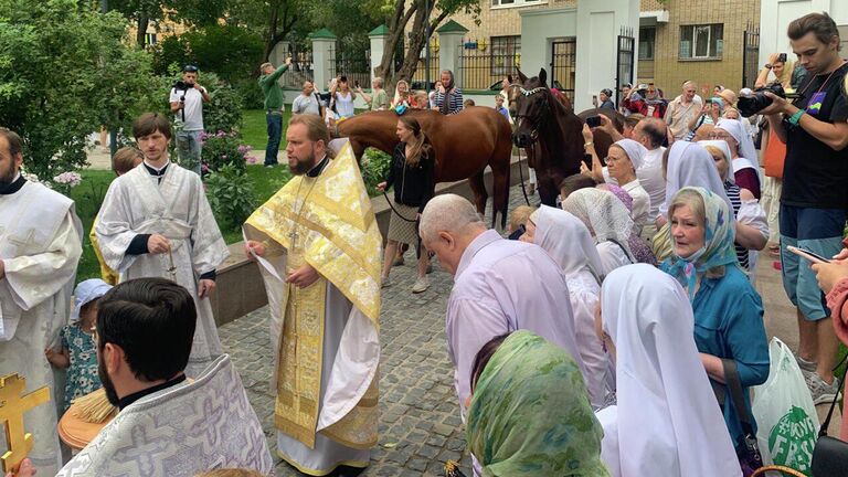 Чин освящения лошадей в храме священномученика Власия в Старой Конюшенной слободе