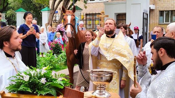 Чин освящения лошадей в храме священномученика Власия в Старой Конюшенной слободе