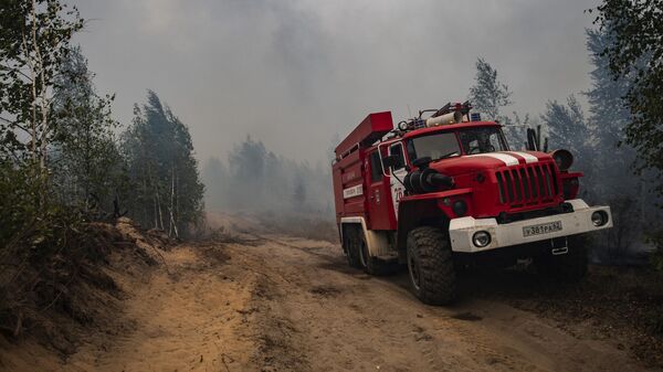 Пожарная машина сотрудников МЧС РФ на месте лесного пожара в Рязанской области