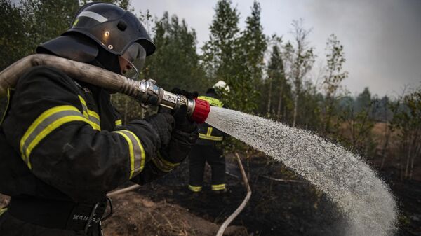 Площадь пожара в ростовском Каменском лесничестве выросла вдвое