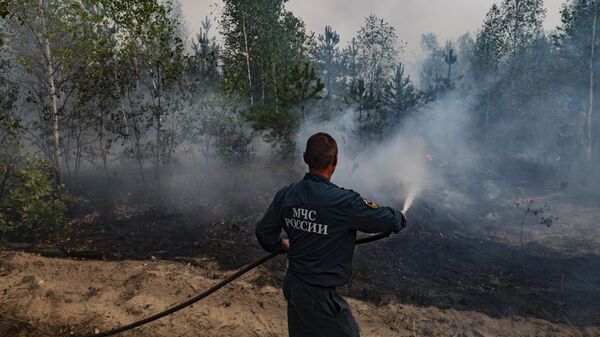 Сотрудник МЧС тушит лесной пожар в Рязанской области
