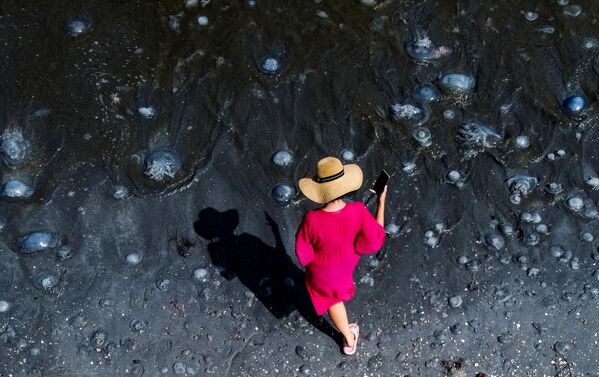 Женщина рассматривает медуз на побережье Азовского моря в Крыму
