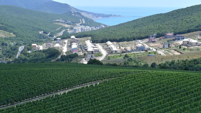 Винодельня Скалистый берег