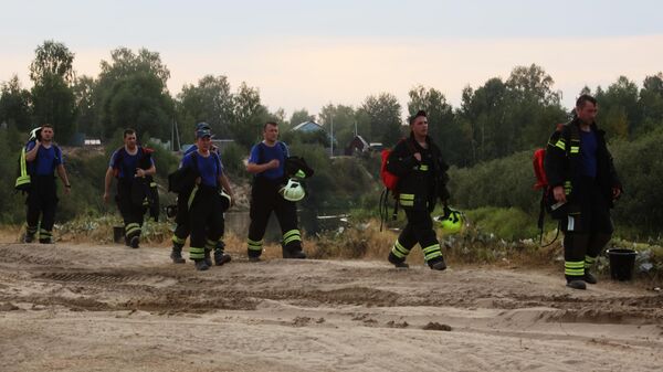 Сотрудники противопожарной службы МЧС РФ перед тушением природного пожара в Рязанской области