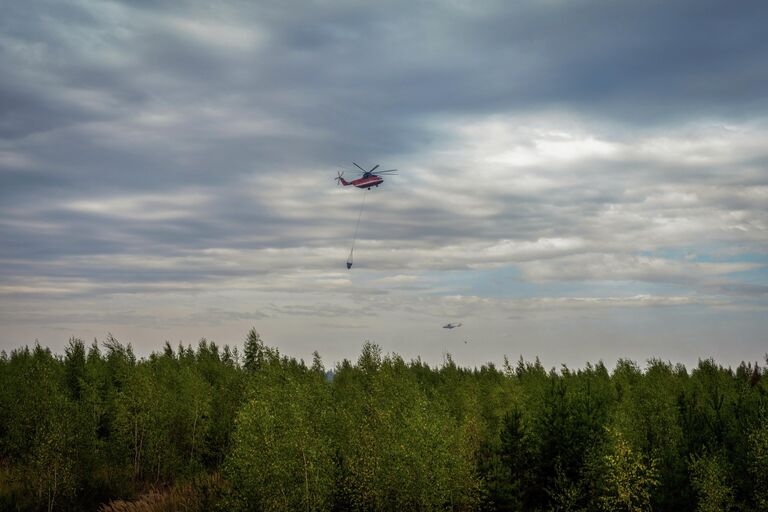 Ликвидация лесных пожаров в Рязанской области