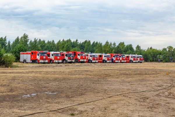 Ликвидация лесных пожаров в Рязанской области