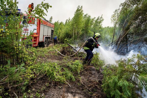 Ликвидация лесных пожаров в Рязанской области