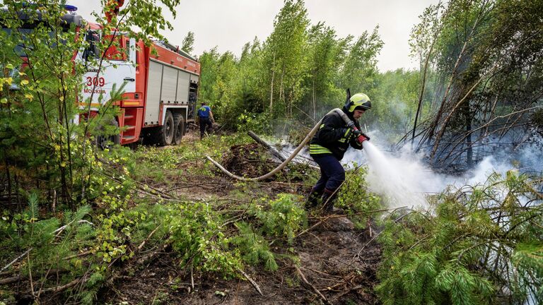 Ликвидация лесных пожаров в Рязанской области