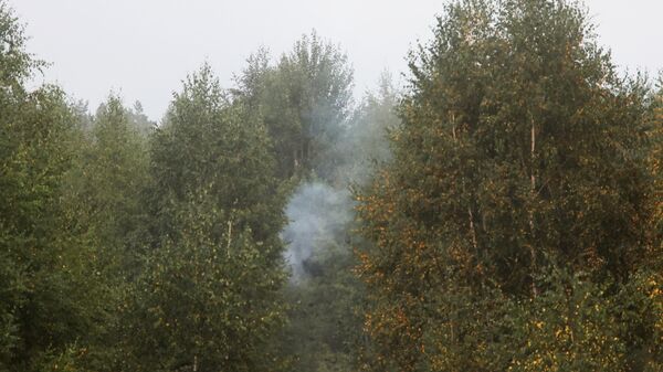 Дым от природного пожара в Рязанской области