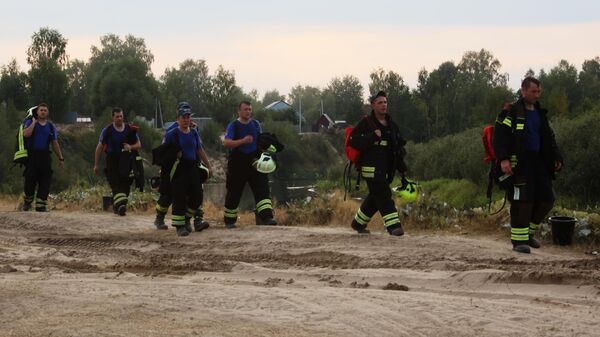 Малков назвал погодные условия в Рязанской области, где горит лес, сложными