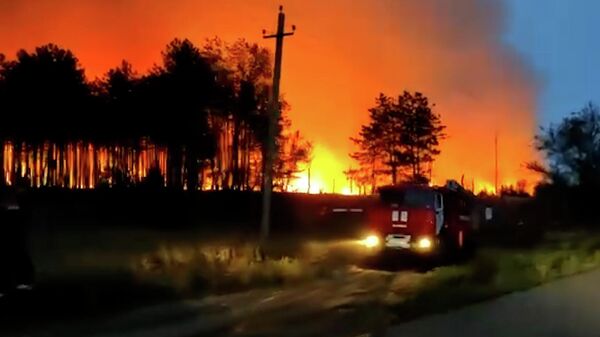 Пожар в Каменском лесничестве в Ростовской области