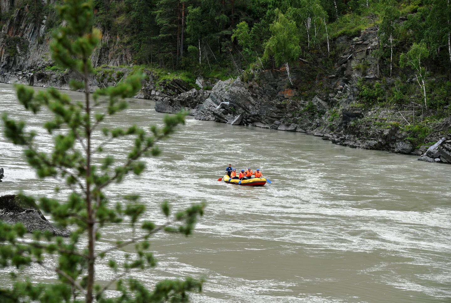 Туристы сплавляются по реке Катунь в Алтайском крае