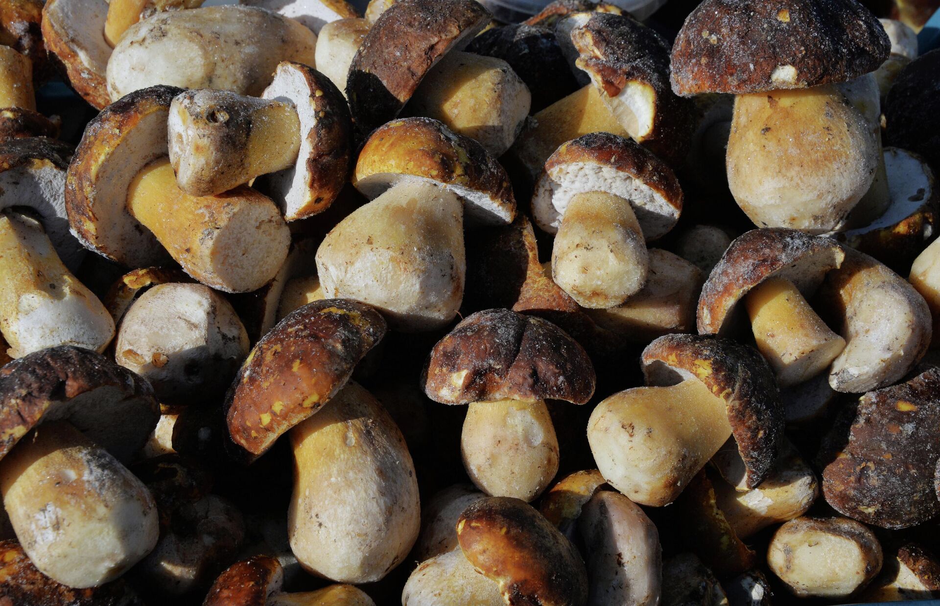 Как быстро замариновать грибы в любое время года