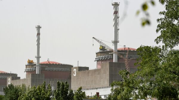 Энергоблоки №2 и №3 Запорожской АЭС в Энергодаре