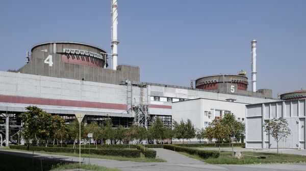 В ООН заявили о необходимости скорейшего визита МАГАТЭ на ЗАЭС