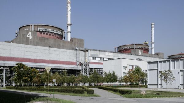Власти Запорожья заявили, что Украина не принимает электроэнергию с ЗАЭС
