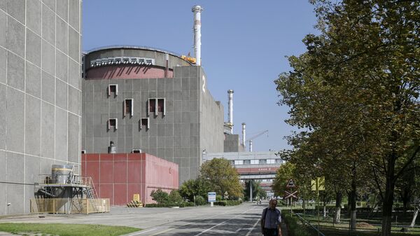 Лавров: Россия делает все для безопасной работы миссии МАГАТЭ на ЗАЭС
