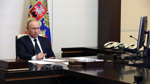 Президент РФ Владимир Путин в режиме видеоконференции проводит совещание о ликвидации природных пожаров