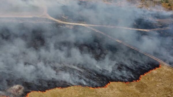 Выжженная земля и столбы дыма: пожары бушуют в Рязанской области  