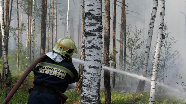Пожар в Нижегородской области замкнули в кольцо