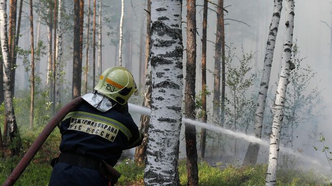 Борьба с лесными пожарами в Нижегородской области