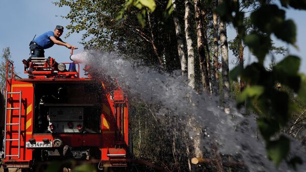 Сотрудник МЧС во время тушения лесного пожара
