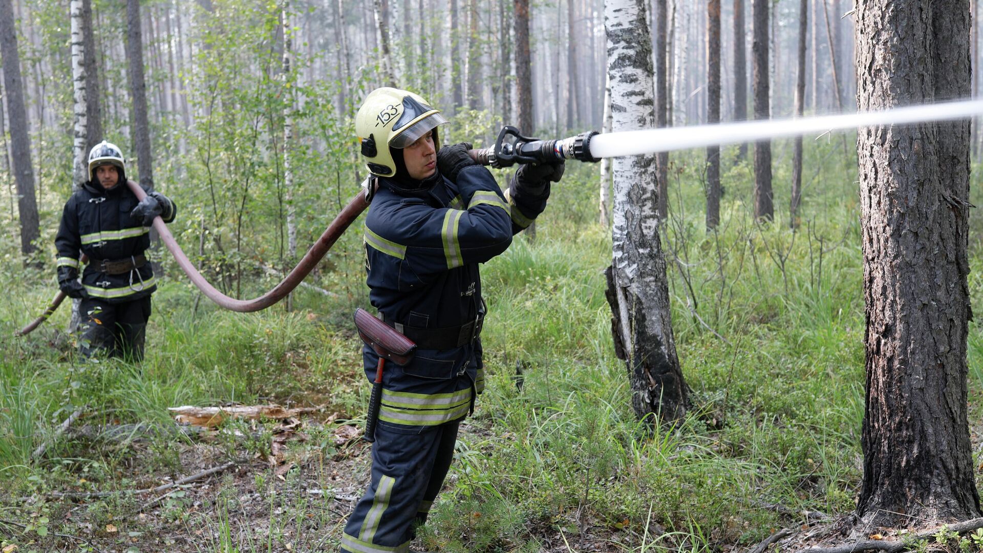 Борьба с лесными пожарами  - РИА Новости, 1920, 08.12.2022