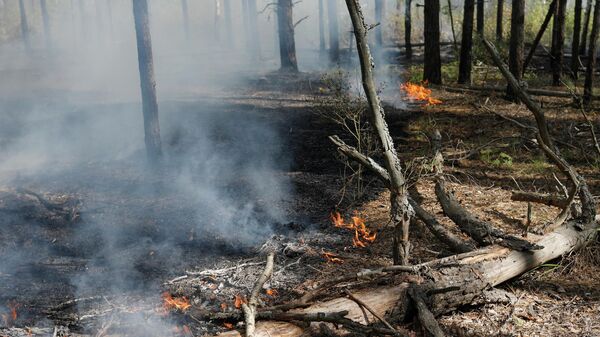 Смог от лесных пожаров дошел до Сыктывкара в Коми