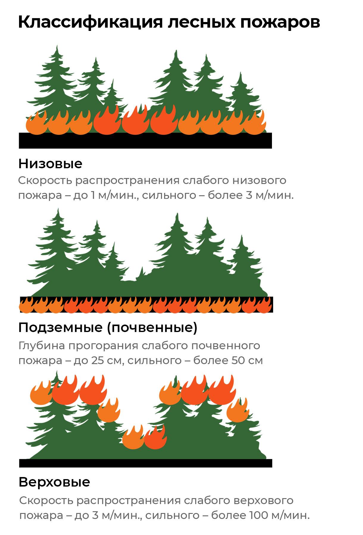 Классификация лесных пожаров