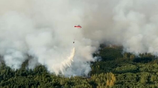 Вторая линия обороны от лесного пожара в Рязанской области. Видео МЧС России 