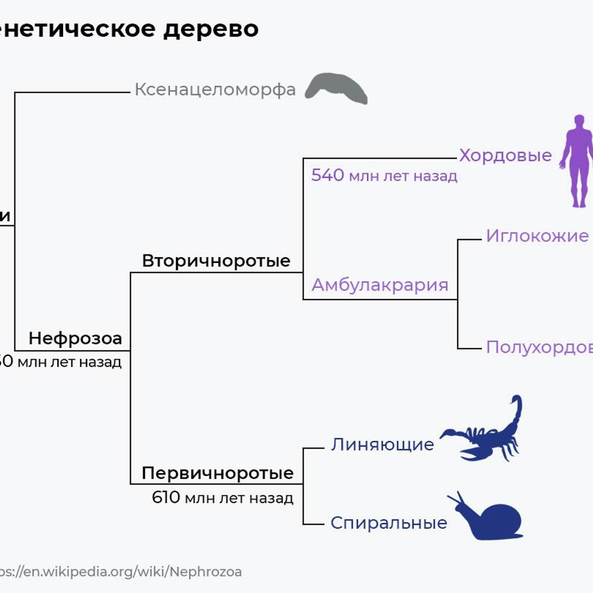 Зверек из Китая: как на самом деле выглядел предок человека - РИА Новости,  27.08.2022