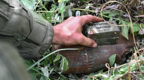Тротиловая шашка, обнаруженная военнослужащим Международного противоминного центра Вооруженных сил РФ, который проводит разминирование территории в Донбассе