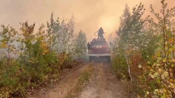 Тушение лесных пожаров в Ивановской области