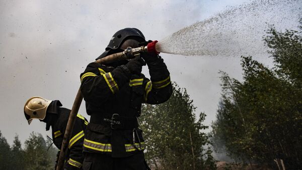 Площадь активного горения в нижегородских лесах сократилась до 30 гектаров