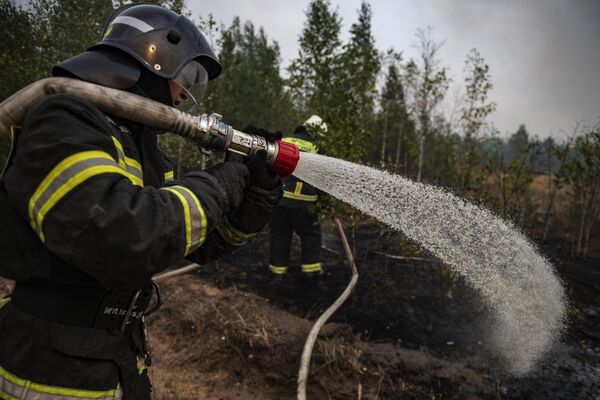 Сотрудники МЧС тушат лесной пожар в поселке Деулино в Рязанской области