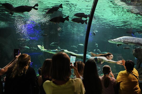 Шоу русалок в аквариуме Затопленный лес в рамках празднования Дня рождения Москвариума