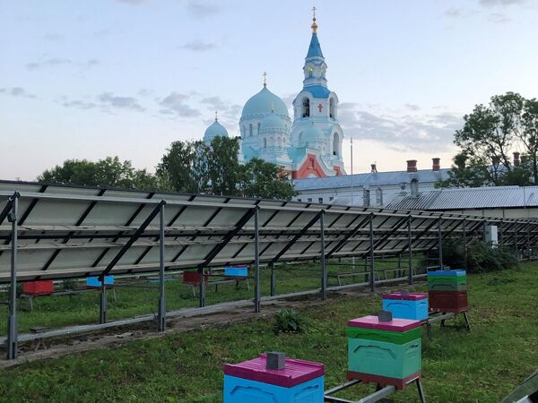 Пасека Пасека