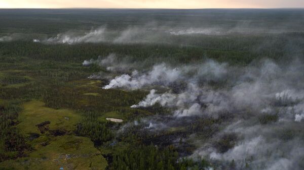 Вид на лесные пожары в Республике Саха (Якутия) с борта вертолета