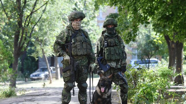 Саперы и служебная собака в Мариуполе