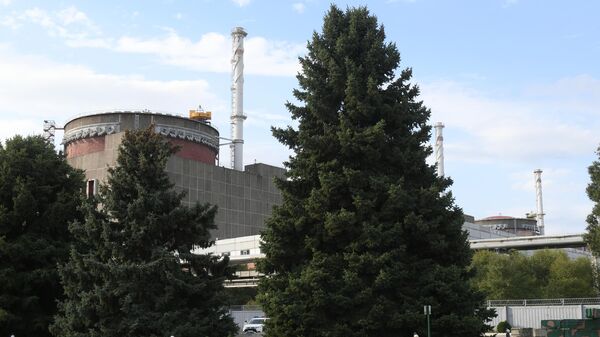 На территории Запорожской атомной электростанции