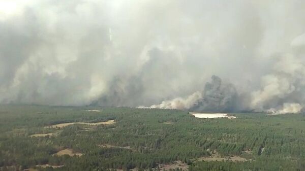 Лесные пожары на севере Казахстана. Кадры МЧС Казахстана