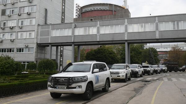 Автомобили делегатов Международного агентства по атомной энергии на территории Запорожской атомной электростанции