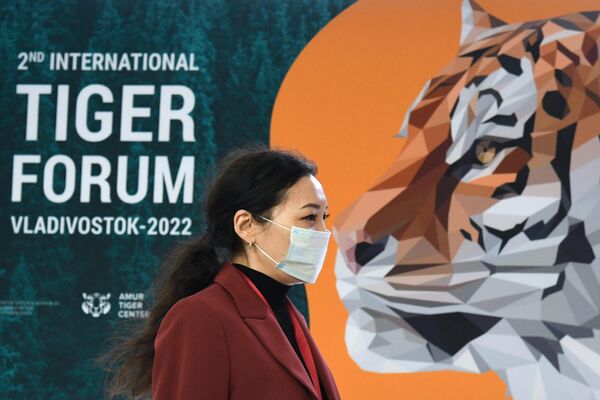 Участница пленарной сессии Статус выполнения глобальной программы восстановления тигра за период с 2010 по 2022 г. в рамках Восточного экономического форума во Владивостоке