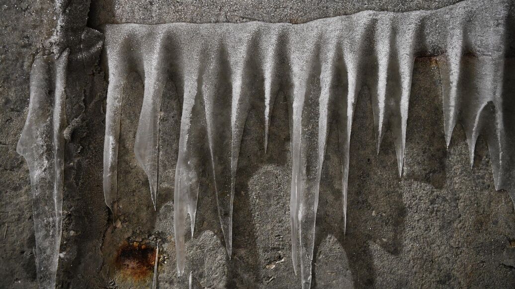 "Древнее зло пробудилось": находка в вечной мерзлоте ужаснула ученых