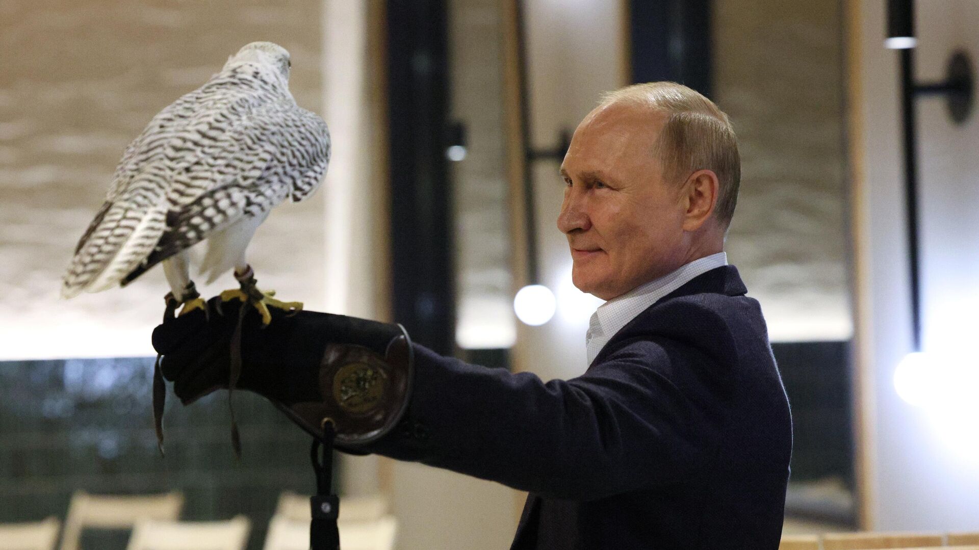 Путин с соколом