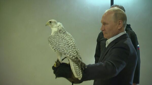 Путин встретился с волонтерами-орнитологами соколиного центра Камчатка