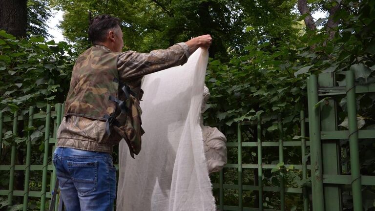 Копия скульптуры Петрония Прима, жена императора Вителлия в Летнем саду Санкт-Петербурга, поврежденная вандалами