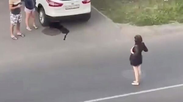 Женщину, оголявшая грудь на дороге в Краснодаре. Кадр из видео очевидца