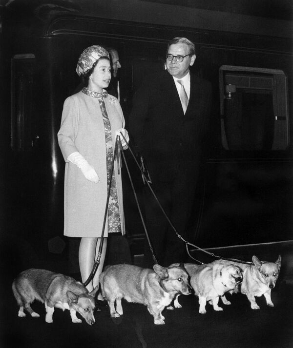 Королева Елизавета II на вокзале Кингс-Кросс в Лондоне со своими четырьмя собаками корги 